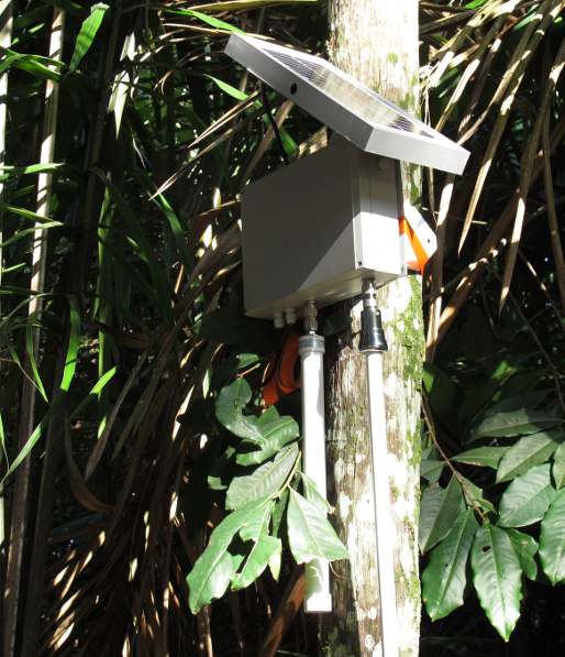 DTN-Knoten im brasilianischen Regenwald