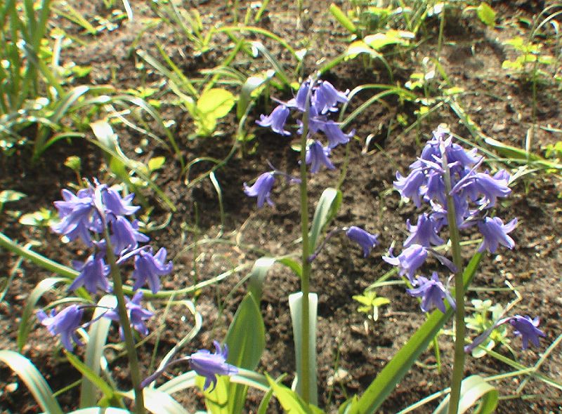 IMGA0922.JPG